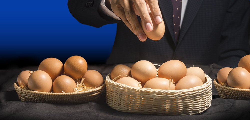 Diversification